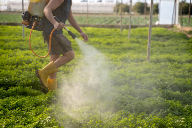 Best Affordable Pest Control Services  in Dellwood, MO