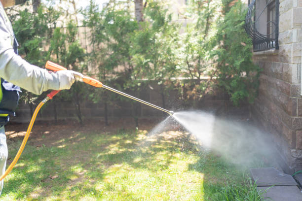 Best Mosquito Control Services  in Dellwood, MO