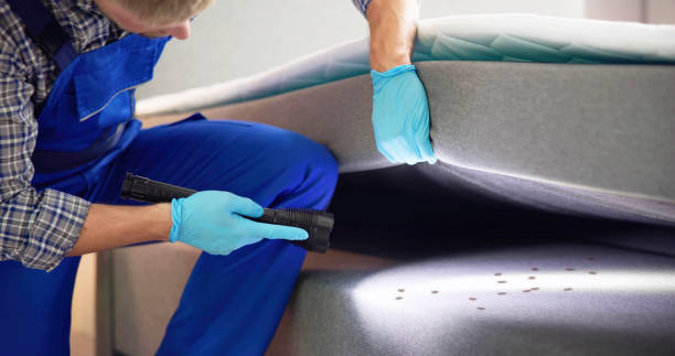 Best Residential Pest Control  in Dellwood, MO