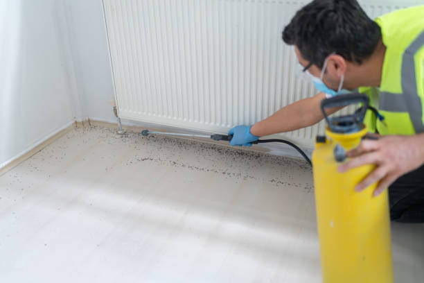 Best Pest Prevention Services  in Dellwood, MO