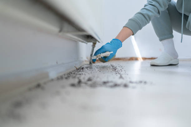 Best Pest Prevention Services  in Dellwood, MO